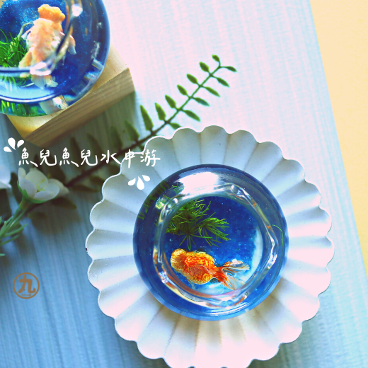 療癒金魚生態缸
