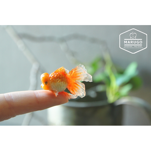 黏土金魚 (3)