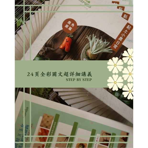 鹿角蕨講義